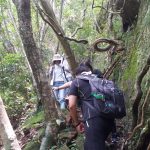 從「綠色旅遊觀點」看汐止社大在淡蘭古道之社會使命及對應策略